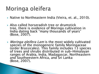Native to Northeastern India (Vieira, et. al., 2010).Also called horseradish tree or drumstick tree, there is evidence of Moringa cultivation in India dating back “many thousands of years” (Bose, 2007).MoringaoleiferaLam is the most widely cultivated species of the monogeneric family Moringaceae (order Brassicales). This family includes 13 species of trees and shrubs distributed in sub-Himalayan ranges of Arabia, India, Madagascar, Northeastern and Southwestern Africa, and Sri Lanka (Bose, 2007).Moringaoleifera