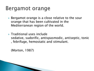 Bergamot orange is a close relative to the sour orange that has been cultivated in the Mediterranean region of the world.Traditional uses include sedative, sudorific, antispasmodic, antiseptic, tonic, febrifuge, hemostatic and stimulant.	(Morton, 1987)Bergamot orange