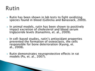 Rutin has been shown in lab tests to fight oxidizing species found in blood (Gebicka and Banasiack, 2009).In animal models, rutin has been shown to positively impact excretion of cholesterol and blood serum triglyceride levels (Kanashiro, et. al., 2009).In cell-based studies, rutin’s antioxidant properties prevented the formation of osteoclasts, the cells responsible for bone deterioration (Kyung, et. al., 2008).Rutin demonstrates neuroprotective effects in rat models (Pu, et. al., 2007).Rutin