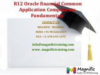 R12 Oracle financial Common
Application Components
Fundamentals
CONTACT US:
MAGNIFIC TRAINING
INDIA +91-9052666559
USA : +1-678-693-3475
info@magnifictraining.com
www. magnifictraining.com
 