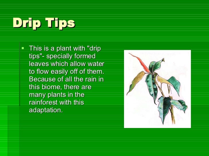 R18b Trf Introduction2