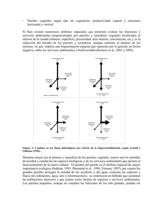 - Parches vegetales según tipo de vegetación, productividad vegetal y estructura
horizontal y vertical.
Si bien existen numerosos atributos espaciales que permiten evaluar las funciones y
servicios ambientales proporcionados por parches y corredores vegetales localizados al
interior de la ciudad (número, superficie, proximidad, área interior, convolución, etc.), es la
reducción del tamaño de los parches y corredores -aunque aumente el número de los
mismos-, lo que implica una fragmentación espacial que repercute por lo general, en forma
negativa, sobre los servicios ambientales y biodiversidad (Romero et al., 2001 y 2003).
Figura 3: Cambios en los flujos hidrológicos por efectos de la impermeabilización, según Arnold y
Gibbons (1996).
Mientras mayor sea el número y superficie de los parches vegetales, mayor será la cantidad,
diversidad y calidad de las especies biológicas y de los servicios ambientales que presten al
funcionamiento de la matriz urbana. El tamaño del parche es el atributo espacial de mayor
importancia ecológica (Sukkop, 1991; Dramstad et al., 1996; Forman, 1997), por cuanto los
grandes parches protegen la calidad de los acuíferos y del agua, conectan las especies y
flujos (de sedimentos, agua, aire e informaciones), se constituyen en hábitats que sustentan
las poblaciones interiores y que actúan como fuentes de especies y servicios ambientales.
Los parches pequeños, aunque no cumplen las funciones de los más grandes, pueden ser
Infiltración
Superficial
25%
Escorrentía
Superficial
10%
Infiltración
Profunda
25%
Evapotranspiración
40%
Evapotranspiración
38%
Escorrentía
Superficial
20%
Infiltración
Profunda
21%
Infiltración
Superficial
21%
Impermeabilización
10 - 20%Cobertura Vegetacional
Evapotranspiración
35%
Escorrentía
Superficial
30%
Infiltración
Profunda
15%
Impermeabilización
35 - 50%
Infiltración
Superficial
20%
Evapotranspiración
30%
Escorrentía
Superficial
55%
Infiltración
Superficial
10%
Infiltración
Profunda
5%
Impermeabilización
75 - 100%
 