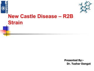 New Castle Disease – R2B
Strain
Presented By:-
Dr. Tushar Dangat
 