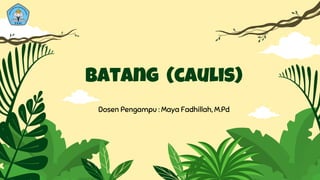 Batang (caulis)
Dosen Pengampu : Maya Fadhillah, M.Pd
 