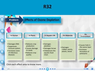 •
R32
Effects of Ozone DepletionProblem
In Human
•Damages DNA
•Suppresses
immune system
•Increases cases
of infectious
diseases
In Plants
•Reduces crop
production
•Causes damage
to seeds
•Reduces crop
quality
In Aquatic Life
•Damages
plankton
•Damages larvae
•Imbalances the
aquatic food
chain
On Materials
•Damages
rubber, paints,
plastic, wood
On
Environment
•Causes hole in
the ozone layer
•Increases
formation of
pollutants
Click each effect area to know more.
 