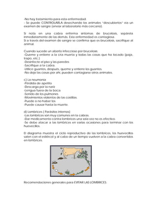 -No hay tratamiento para esta enfermedad.
- Se puede CONTROLARLA desechando los animales “descubiertos” vía un
examen de sangre (enviar al laboratorio más cercano).
Si nota en una cabra enferma síntomas de brucelosis, sepárela
inmediatamente de las demás. Esta enfermedad es contagiosa.
Si a través del examen de sangre se confirma que es brucelosis, sacrifique al
animal.
Cuando sucede un aborto infeccioso por brucelosis:
-Queme y entierre a la cría muerta y todas las cosas que ha tocado (paja,
trapo, etc.)
-Desinfecte el piso y las paredes
-Sacrifique a la cabra.
-Utilice guantes, después, queme y entierre los guantes.
-No deje las cosas por ahí, pueden contagiarse otros animales.
c) La neumonía
-Pérdida de apetito
-Descarga por la nariz
-Lengua fuera de la boca
-Sonido de los pulmones
-Movimientos violentos de las costillas.
-Puede o no haber tos
-Puede causar hasta la muerte.
d) Lombrices ( Parásitos internos)
-Las lombrices son muy comunes en la cabras.
-Dar medicamento contra lombrices una sola vez no es efectivo.
-Se debe atacar a las lombrices en varias ocasiones para terminar con los
huevecillos.
El diagrama muestra el ciclo reproductivo de las lombrices, los huevecillos
salen con el estiércol y al cabo de un tiempo vuelven a la cabra convertidos
en lombrices.
Recomendaciones generales para EVITAR LAS LOMBRICES:
 