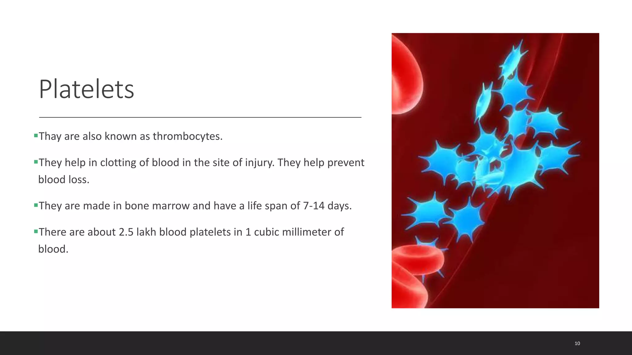 Platelets
Thay are also known as thrombocytes.
They help in clotting of blood in the site of injury. They help prevent
blood loss.
They are made in bone marrow and have a life span of 7-14 days.
There are about 2.5 lakh blood platelets in 1 cubic millimeter of
blood.
10
 