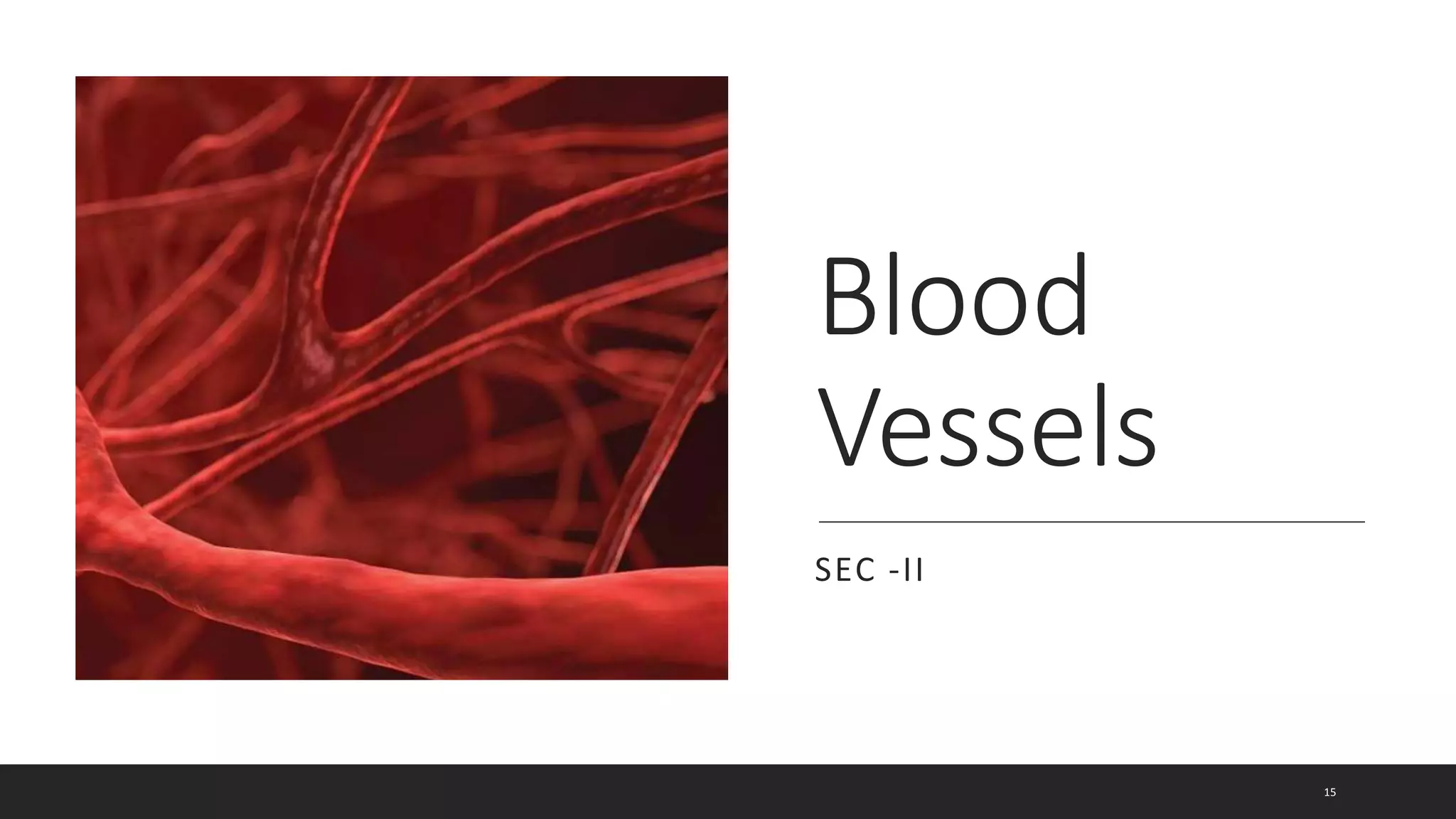 Blood
Vessels
SEC -II
15
 