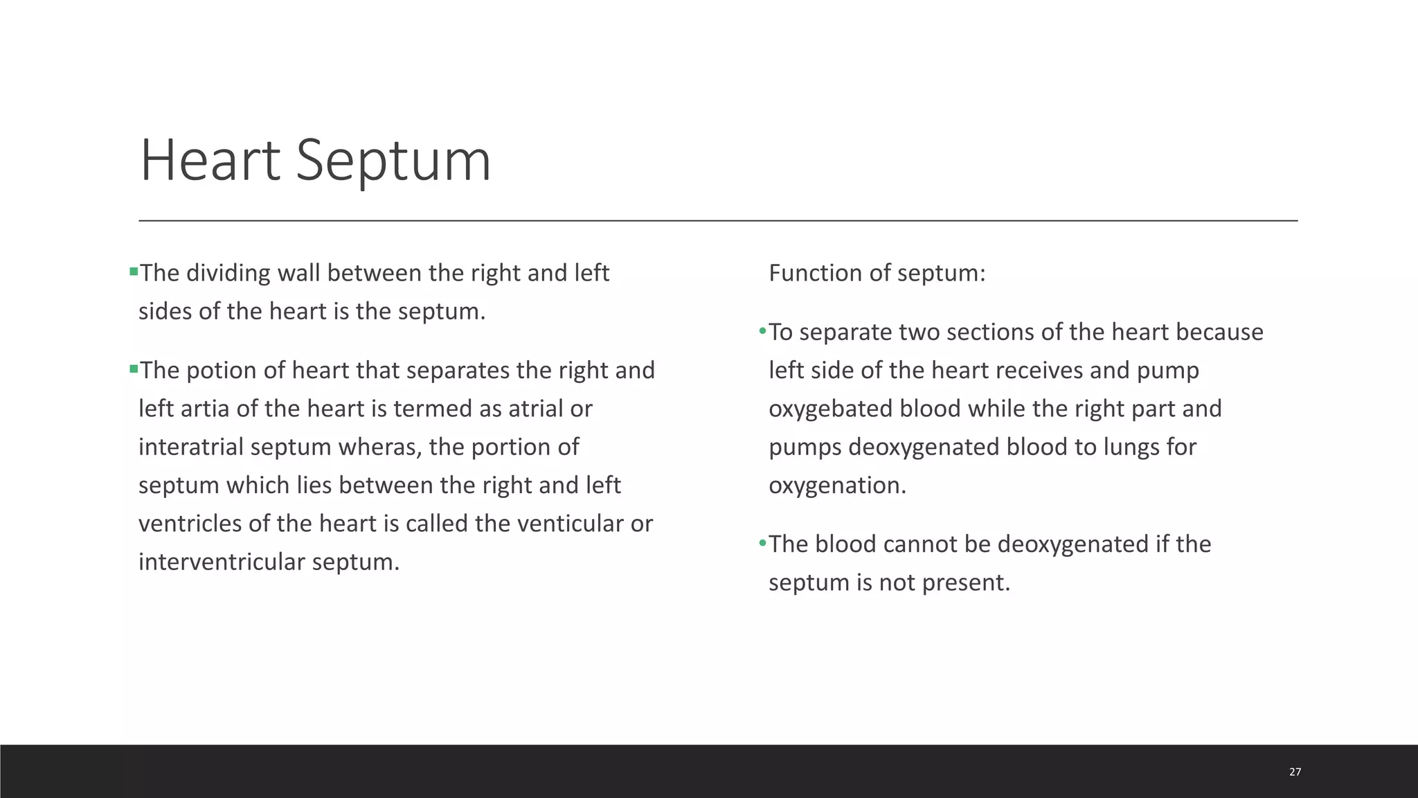 Heart Septum
The dividing wall between the right and left
sides of the heart is the septum.
The potion of heart that separates the right and
left artia of the heart is termed as atrial or
interatrial septum wheras, the portion of
septum which lies between the right and left
ventricles of the heart is called the venticular or
interventricular septum.
Function of septum:
•To separate two sections of the heart because
left side of the heart receives and pump
oxygebated blood while the right part and
pumps deoxygenated blood to lungs for
oxygenation.
•The blood cannot be deoxygenated if the
septum is not present.
27
 