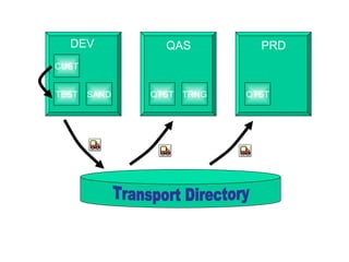DEV                      QAS                        PRD
CUST


TEST   SAND           QTST TRNG                   QTST




              System Landscape for SAP R/3 Implementation
 