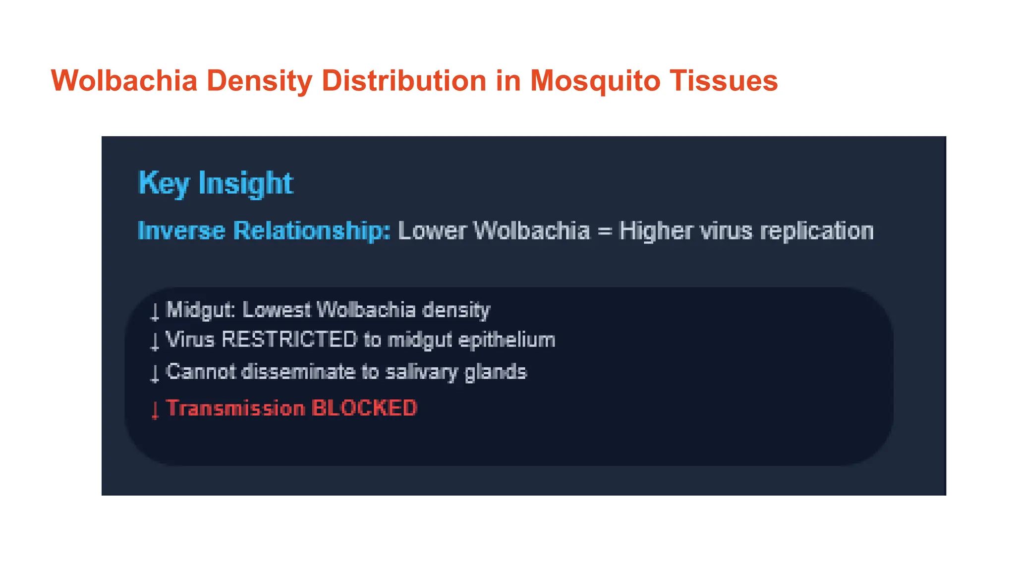 Wolbachia Density Distribution in Mosquito Tissues
 