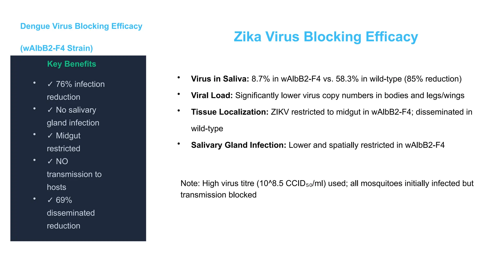 Dengue Virus Blocking Efficacy
(wAlbB2-F4 Strain)
Key Benefits
• ✓ 76% infection
reduction
• ✓ No salivary
gland infection
• ✓ Midgut
restricted
• ✓ NO
transmission to
hosts
• ✓ 69%
disseminated
reduction
• Virus in Saliva: 8.7% in wAlbB2-F4 vs. 58.3% in wild-type (85% reduction)
• Viral Load: Significantly lower virus copy numbers in bodies and legs/wings
• Tissue Localization: ZIKV restricted to midgut in wAlbB2-F4; disseminated in
wild-type
• Salivary Gland Infection: Lower and spatially restricted in wAlbB2-F4
Zika Virus Blocking Efficacy
Note: High virus titre (10^8.5 CCID /ml) used; all mosquitoes initially infected but
₅₀
transmission blocked
 