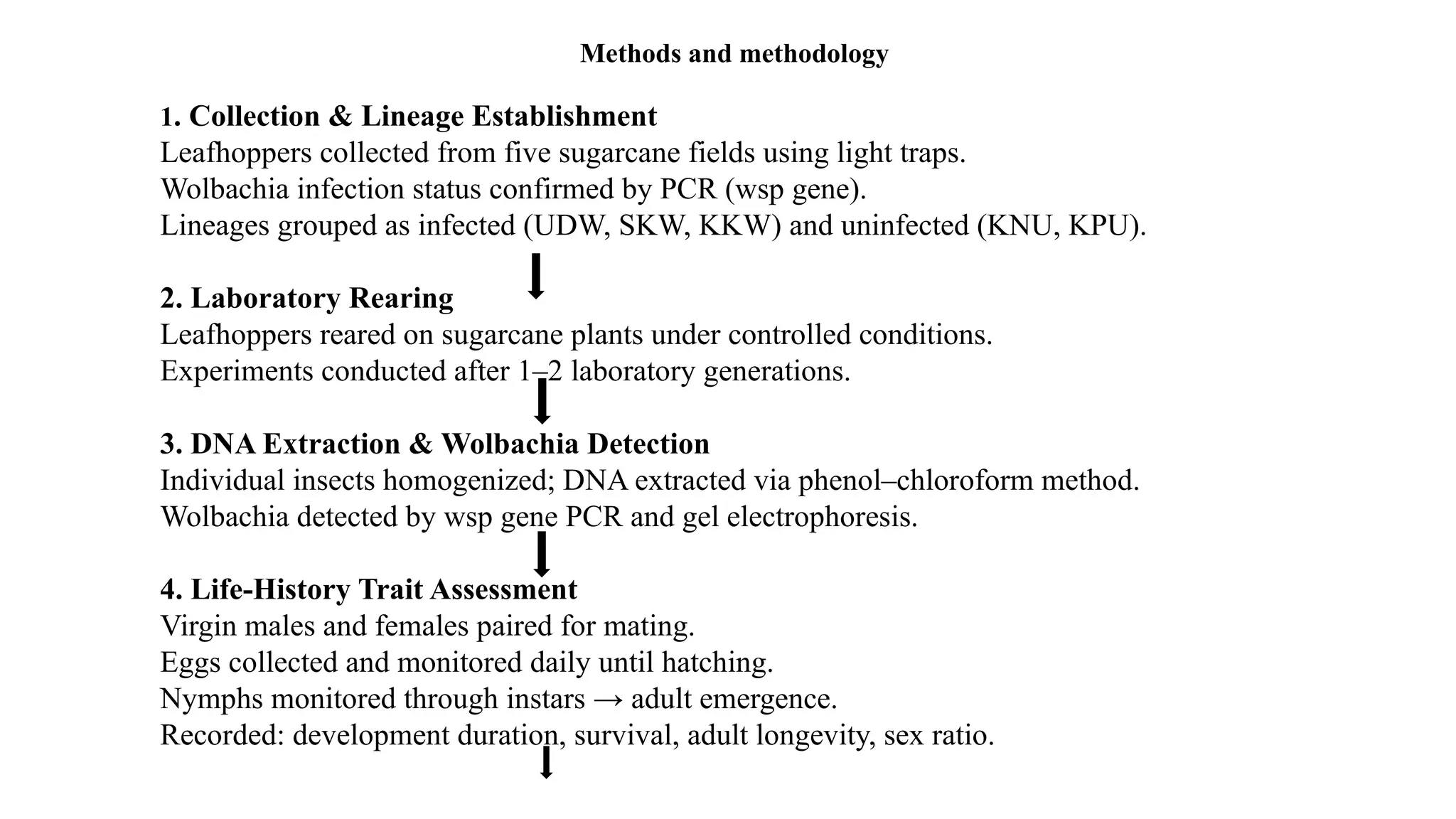 Methods and methodology
1. Collection & Lineage Establishment
Leafhoppers collected from five sugarcane fields using light traps.
Wolbachia infection status confirmed by PCR (wsp gene).
Lineages grouped as infected (UDW, SKW, KKW) and uninfected (KNU, KPU).
2. Laboratory Rearing
Leafhoppers reared on sugarcane plants under controlled conditions.
Experiments conducted after 1–2 laboratory generations.
3. DNA Extraction & Wolbachia Detection
Individual insects homogenized; DNA extracted via phenol–chloroform method.
Wolbachia detected by wsp gene PCR and gel electrophoresis.
4. Life-History Trait Assessment
Virgin males and females paired for mating.
Eggs collected and monitored daily until hatching.
Nymphs monitored through instars → adult emergence.
Recorded: development duration, survival, adult longevity, sex ratio.
 