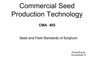 Commercial Seed
Production Technology
Seed and Field Standards of Sorghum
CMA 405
Presenting by
Guruprasad. A
 