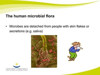 The human microbial flora 
• Microbes are detached from people with skin flakes or 
secretions (e.g. saliva) 
 
