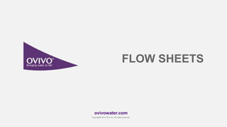 ovivowater.com
Copyright© 2013 GLV Inc. All rights reserved.
FLOW SHEETS
 