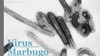 Virus
Marbugo
Leslie Pereyra Vera
 