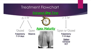 Treatment Flowchart
< 1 hr > 1 hr
Extraoral Dry Time
Apex Maturity
Closed Open Open or Closed
Pulpectomy
7-14 days
Observe
Option:
Extraoral
RCT
Pulpectomy
7-14 days
 