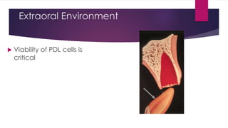 Extraoral Environment
 Viability of PDL cells is
critical
 