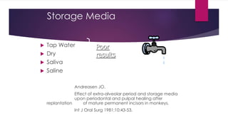 Storage Media
 Tap Water
 Dry
 Saliva
 Saline
Andreasen JO.
Effect of extra-alveolar period and storage media
upon periodontal and pulpal healing after
replantation of mature permanent incisors in monkeys.
Int J Oral Surg 1981;10:43-53.
Poor
results
 