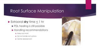 Root Surface Manipulation
 Extraoral dry time < 1 hr
 PDL healing is still possible
 Handling recommendations
 Keep root moist
 Do not handle root surface
 Gentle debridement
 