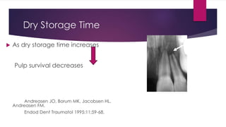 Dry Storage Time
 As dry storage time increases
Pulp survival decreases
Andreasen JO, Borum MK, Jacobsen HL,
Andreasen FM.
Endod Dent Traumatol 1995;11;59-68.
 