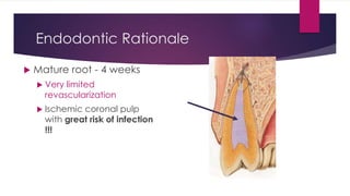 Endodontic Rationale
 Mature root - 4 weeks
 Very limited
revascularization
 Ischemic coronal pulp
with great risk of infection
!!!
 