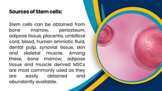Stem cells can be obtained from
bone marrow, periosteum,
adipose tissue, placenta, umbilical
cord, blood, human amniotic fluid,
dental pulp, synovial tissue, skin
and skeletal muscle. Among
these, bone marrow, adipose
tissue and muscle derived MSCs
are most commonly used as they
are easily obtained and
abundantly available.
SourcesofStemcells:
 