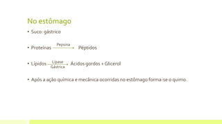 No estômago
• Suco: gástrico
• Proteínas Péptidos
• Lípidos Ácidos gordos + Glicerol
• Após a ação química e mecânica ocorridas no estômago forma-se o quimo.
Pepsina
Lípase
Gástrica
 