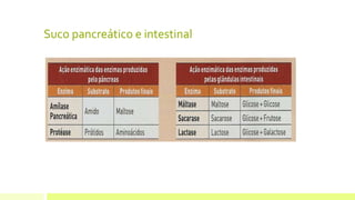 Suco pancreático e intestinal
 