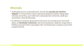 Absorção
• A absorção ocorre, essencialmente, através das paredes do intestino
delgado. O revestimento interno apresenta pequenas dobras designadas
válvulas coniventes, que melhoram a absorção dos nutrientes, dado que
aumentam a área de absorção.
• As válvulas coniventes apresentam estruturas microscópicas em forma de
dedo, as vilosidades intestinais, são atravessadas por capilares sanguíneos e
linfáticos que permitem a passagem dos nutrientes para o sangue e para linfa,
respetivamente.
 