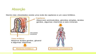 Absorção
 