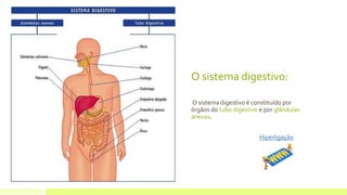 O sistema digestivo:
O sistema digestivo é constituído por
órgãos do tubo digestivo e por glândulas
anexas.
Hiperligação
 