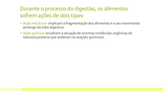 Durante o processo da digestão, os alimentos
sofrem ações de dois tipos:
• Ação mecânica- implicam a fragmentação dos alimentos e o seu movimento
ao longo do tubo digestivo.
• Ação química- envolvem a atuação de enzimas (moléculas orgânicas de
natureza proteica que aceleram as reações químicas).
 