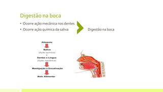 Digestão na boca
• Ocorre ação mecânica nos dentes
• Ocorre ação química da saliva Digestão na boca
 