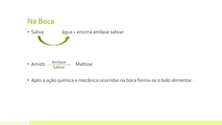 Na Boca
• Saliva água + enzima amílase salivar
• Amido Maltose
• Após a ação química e mecânica ocorridas na boca forma-se o bolo alimentar.
Amílase
Salivar
 