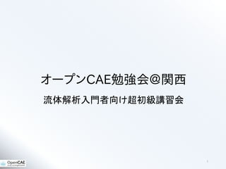 オープンCAE勉強会＠関西
流体解析入門者向け超初級講習会
1
 