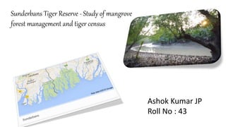 Sunderbans Tiger Reserve - Study of mangrove
forest management and tiger census
Ashok Kumar JP
Roll No : 43
 