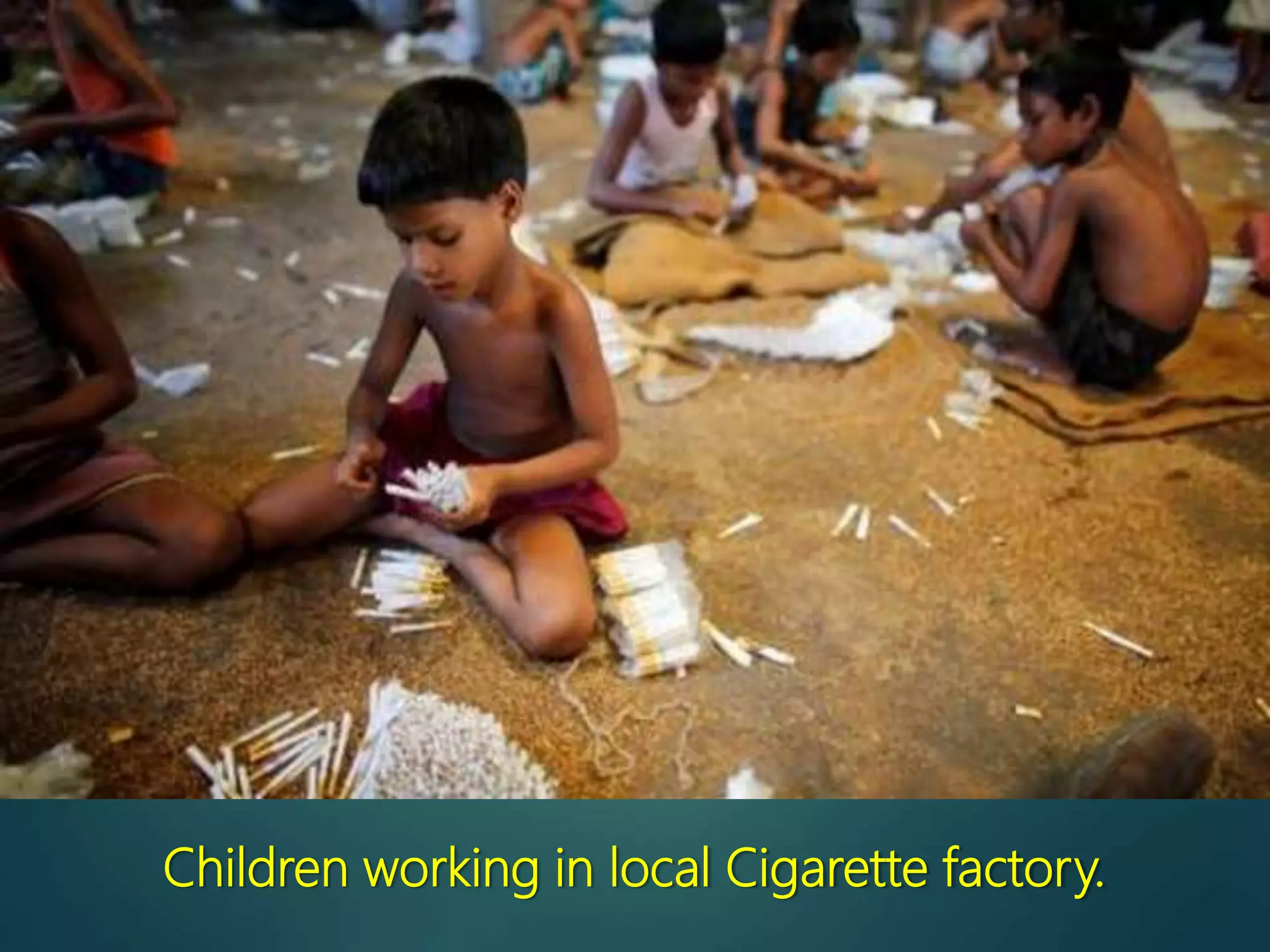 Children working in local Cigarette factory.
 