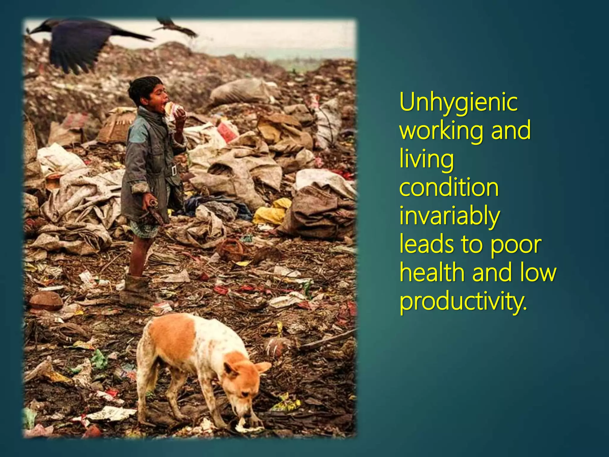Unhygienic
working and
living
condition
invariably
leads to poor
health and low
productivity.
 