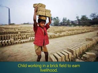 Child working in a brick field to earn
livelihood.
 