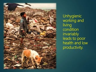 Unhygienic
working and
living
condition
invariably
leads to poor
health and low
productivity.
 