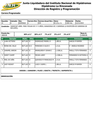 Carrera Programada:
Junta Liquidadora del Instituto Nacional de Hipódromos
Hipódromo La Rinconada
Dirección de Registro y ...