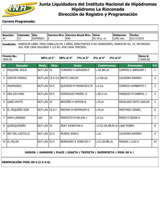 Carrera Programada:
Junta Liquidadora del Instituto Nacional de Hipódromos
Hipódromo La Rinconada
Dirección de Registro y ...