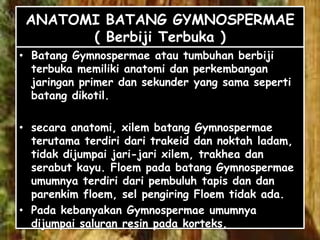 ANATOMI BATANG GYMNOSPERMAE
( Berbiji Terbuka )
• Batang Gymnospermae atau tumbuhan berbiji
terbuka memiliki anatomi dan perkembangan
jaringan primer dan sekunder yang sama seperti
batang dikotil.
• secara anatomi, xilem batang Gymnospermae
terutama terdiri dari trakeid dan noktah ladam,
tidak dijumpai jari-jari xilem, trakhea dan
serabut kayu. Floem pada batang Gymnospermae
umumnya terdiri dari pembuluh tapis dan dan
parenkim floem, sel pengiring Floem tidak ada.
• Pada kebanyakan Gymnospermae umumnya
dijumpai saluran resin pada korteks.

 