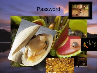 Password
 