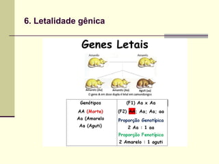 6. Letalidade gênica
 