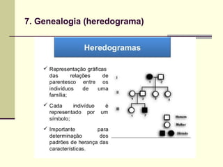 7. Genealogia (heredograma)
 