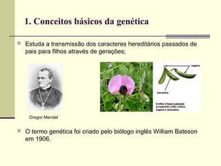 1. Conceitos básicos da genética
 Estuda a transmissão dos caracteres hereditários passados de
pais para filhos através de gerações;
Gregor Mendel
 O termo genética foi criado pelo biólogo inglês William Bateson
em 1906.
 