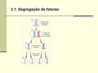 3.1. Segregação de fatores
 